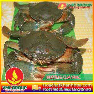 HƯƠNG CUA VMC