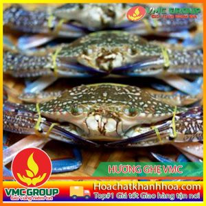 HƯƠNG GHẸ VMC