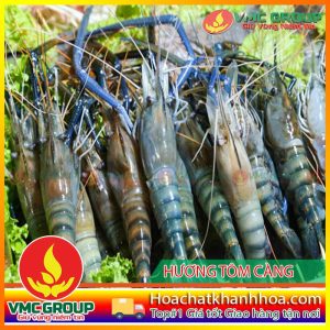 HƯƠNG TÔM CÀNG