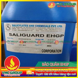 CHẤT BẢO QUẢN RỬA CHÉN SALIGUARD EHGP CAN 25KG ẤN ĐỘ