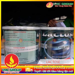 MEN TRỘN HỖ TRỢ ĐƯỜNG RUỘT LACTOSE