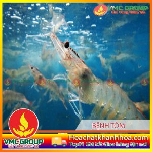 PHÒNG BỆNH TÔM NUÔI CUỐI NĂM 2014