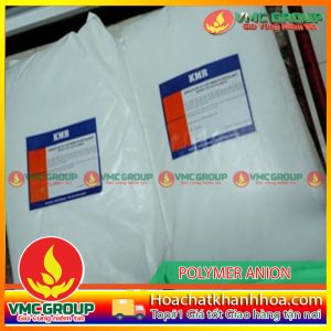 POLYMER ANION XỬ LÝ NƯỚC – A1110 BAO 25KG