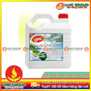 VMC ALGAECIDE ( DIỆT TẢO, RONG RÊU CHUYÊN DỤNG CHO HỒ BƠI )