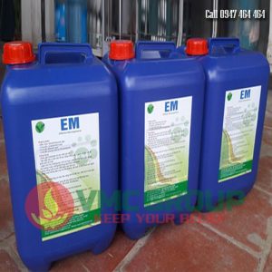 MEN VI SINH EM GỐC HCKH - Ảnh 2