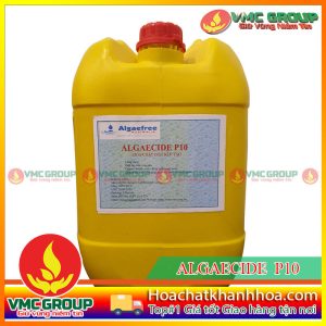 ALGAE CIDE P10- DIỆT RÊU TẢO CAN 25 LÍT MỸ