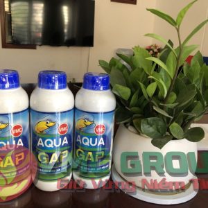 AQUA GAP TRONG NUÔI TRỒNG THỦY SẢN HCKH - Ảnh 2