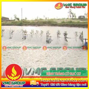 BỆNH TRẮNG CƠ