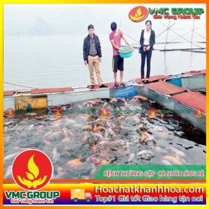CÁC BIỆN PHÁP HỮU HIỆU PHÒNG NGỪA BỆNH Ở CÁ BIỂN NUÔI LỒNG