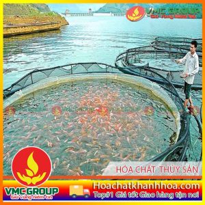 DANH MỤC KỸ THUẬT NUÔI THỦY SẢN