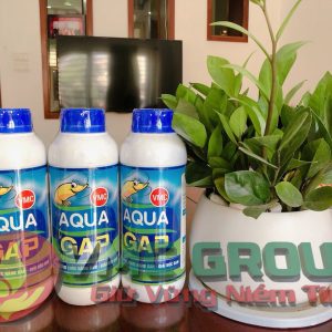 AQUA GAP TRONG NUÔI TRỒNG THỦY SẢN HCKH - Ảnh 3