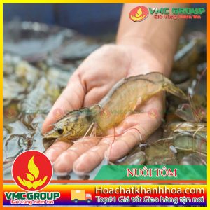HỆ MIỄN DỊCH TÔM -VACXIN CHO TÔM