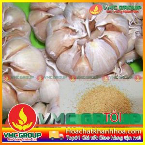PHÒNG BỆNH CHO TÔM BẰNG TỎI