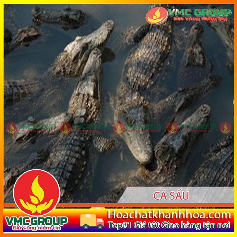 PHÒNG VÀ TRỊ BỆNH CHO CÁ SẤU PHÒNG VÀ TRỊ BỆNH CHO CÁ SẤU