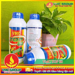 VMC TOP 80- LOẠI BỎ HỘI CHỨNG GAN TỤY CẤP EMS