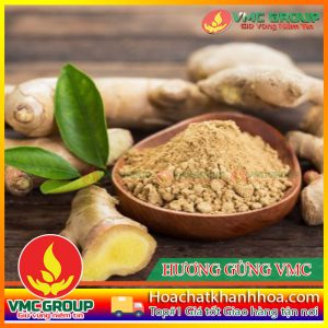 HƯƠNG GỪNG VMC